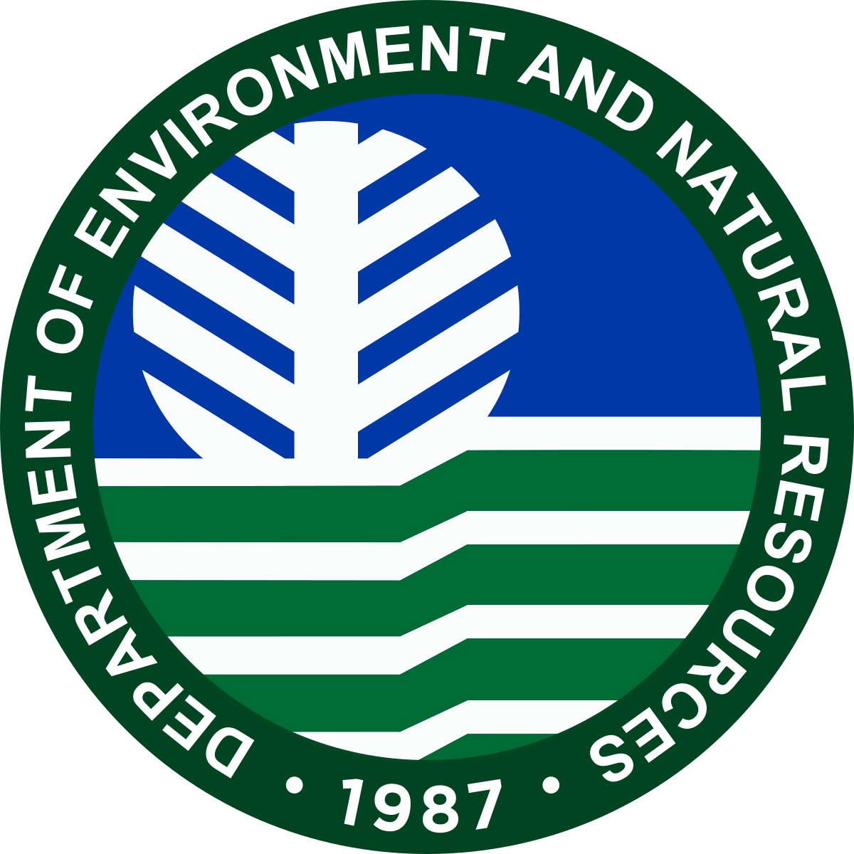 Denr Chainsaw e-Registration